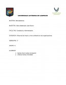 Influencia del macro y micro ambiente en dos organizaciones GRUPO ELEKTRA