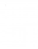 Colegio “El Papalote” Reglamento de la educadora