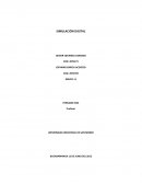 Codigo fuente simulador