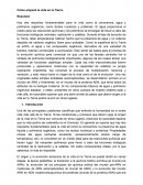 Cómo empezó la vida en la Tierra