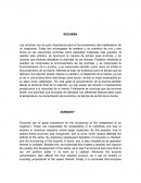 INFORME DE LABORATORIO ENZIMATICA