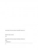 UNIFICACIÓN DE DATOS PARA CONSULTA CONVENIOS Y MINUTAS CFE