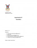 Informe fisica 2 lab 1