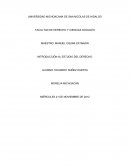 EL DERECHO Y LA IDEA DE LA JUSTICIA