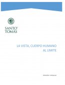 LA VISTA: LA MAQUINA QUE LLEVAMOS DENTRO