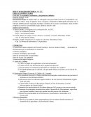 Las primeras sociedades y las primeras ciudades