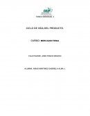 ESTUDIO DE CASO. LIDERAZGO EN CONSTRUCCIÓN: EL CASO PERI ESPAÑA