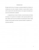 Proyecto de comunicacion