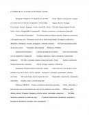 Contracultura-redaccion