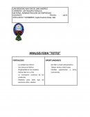 ANALISIS FODA “TOTTO”