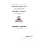 EL DESARROLLO DEL NUEVO PROYECTO REDES Y TELEPROCESOS