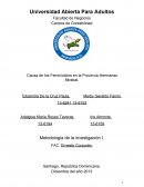 CAUSAS DE LOS FEMINICIDIOS EN LA PROVINCIA HERMANAS MIRABAL.