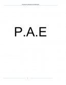 P.A.E - Proceso de atención de enfermería