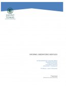 Determinación de centro de masa segmental y multisegmental