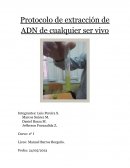 Protocolo de extracción de ADN de cualquier ser vivo