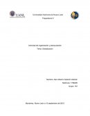 La nueva Organizacion y Jerarquizacion etapa 3