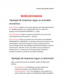 Tipología de empresas segun su actividad económica