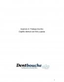 El nuevo producto Dentbouche, presentado anteriormente, será llevado a un modelo de negocio. De esta manera analizaremos todas las áreas que logran la producción