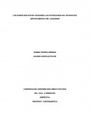 LOS DAÑOS QUE ESTAN CAUSANDO LAS PETROLERAS EN LOS RIOS