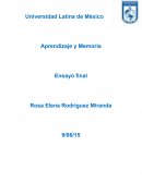 Aprendizaje es el proceso por el cual ocurren cambios duraderos en el potencial conductual como resultado de la experiencia