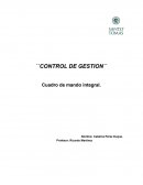 Control de gestion. Cuadro mando integral