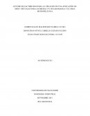 Estudio de factibilidad para la creacion de una empresa de app