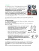 Son turbomáquinas que transmiten energía para generar la presión necesaria para mantener un flujo contínuo de aire. Un ventilador consta con un motor de accionamiento