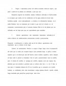 PASÓ A PASO DE LAS LABORES DE ESTABLECIMIENTO