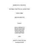 INFORME 2 PRÁCTICA DE LABORATIRIO CAIDA LIBRE