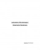Laboratorio Microbiología I Aislamiento Bacteriano