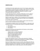 Método Cientifico Bilogía - Los hámster sirios