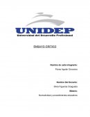 ENSAYO CRITICO Normatividad y procedimientos educativos