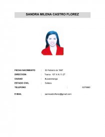 CV - modelo. Página 1