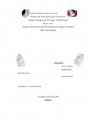 Proceso de Atención de Enfermería en Enfermedades Prevenibles