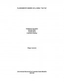 PLANEAMIENTO MINERO DE LA MINA ¨TAZ-TAZ¨