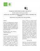 Aislamiento y purificación de la cafeína a partir de café comercial