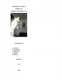 INFORME CIENTIFICO “BURBUJAS”. Página 1