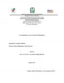La masoterapia y sus principios biofisiologicos