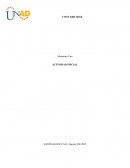 Ensayo ley 1314 de 2009