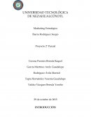 El portafolio de productos de una empresa