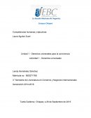 Sintesis de la película Invictus