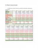 Flujo de caja proyecto financiado completamente con patrimonio