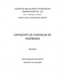 ARGUMENTACIÓN Y ANÁLISIS DE EVIDENCIAS CONTEXTO EN LA PRACTICA DOCENTE