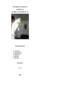 INFORME CIENTIFICO “BURBUJAS”