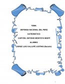 CATEDRÁTICO: Defensa nacional del peru