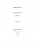 Competencias comunicativas - MY SISTER´S KEEPER