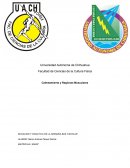 INICIACION Y DIDACTICA DE LA GIMNASIA BAS. ESCOLAR