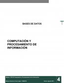 BASES DE DATOS COMPUTACIÓN Y PROCESAMIENTO DE INFORMACIÓN