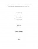 IMPACTO AMBIENTAL DE LAS VENTAS AMBULANTES