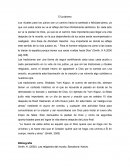 Los rituales para los judíos son un camino hacia la santidad o felicidad plena